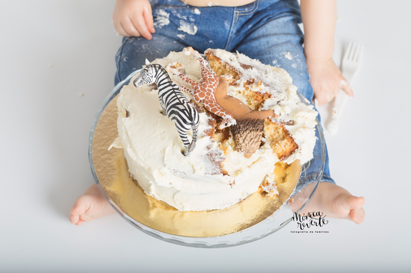 Sesión de fotos cumpleaños 1 año en Madrid con tarta